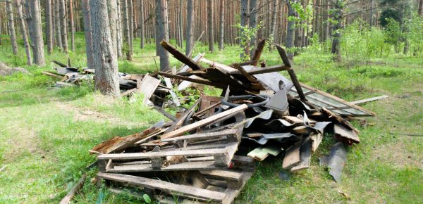 Debris Removal Service in Goodyear